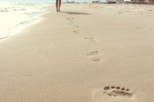 Grounding, Why Connecting With the Earth is Important for Your Health